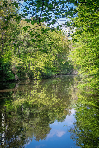 Les reflets profonds de la forêt se dessinent à la surface calme de la gouille à Marion, capturant la beauté paisible du paysage naturel.