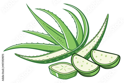 11 sliced aloe vera leaves, green succulent plant, natural organic botanical, close-up shot, against white background, high resolution, detailed, studio lighting