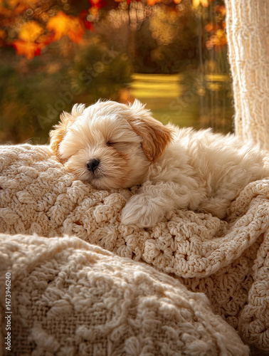 cream-colored puppy resting peacefully on a textured knit blanket. Sunlight filters through the soft fur, creating a gentle glow. The out-of-focus background features hints of autumn leaves