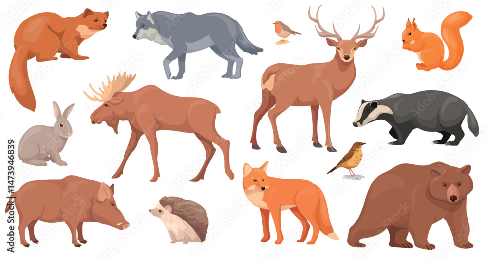 Obraz premium Woodland wild animal. Forest realistic animals fauna set, bear fox deer rabbit wildlife nature isolated characters zoo wood land inhabitants, cartoon neat vector illustration