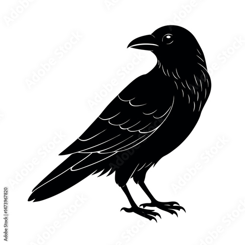 raven stock image dark bird silhouette