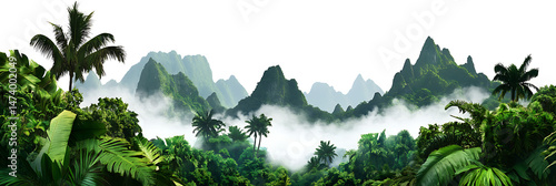 Lush tropical rainforest landscape with foggy mountains on transparent background
