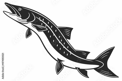pike sihouette black vector