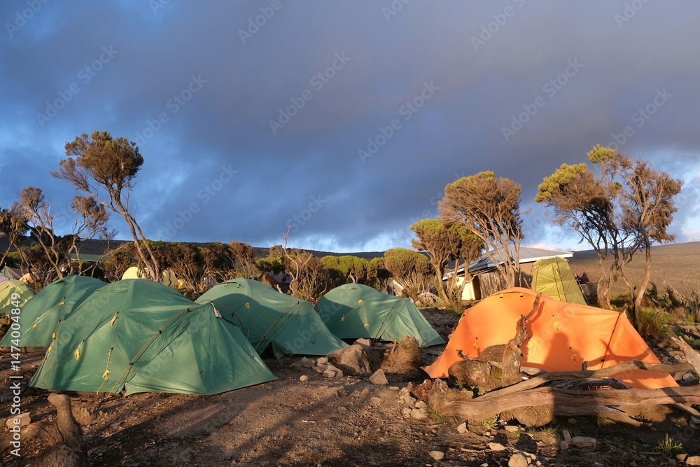 Mweka Camp on Kilimanjaro, Tanzania with tents on camp.