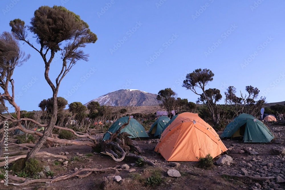 Mweka Camp on Kilimanjaro, Tanzania with tents on camp and Kilimanjaro peak in background