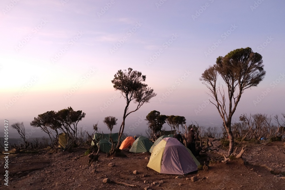 Mweka Camp on Kilimanjaro, Tanzania with tents on camp.
