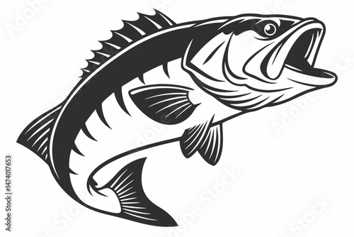 bass fish silhoette black vector