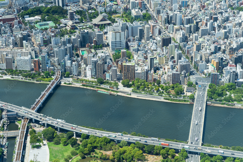 Obraz premium Panoramic Aerial View of Tokyo Skyline, Japan