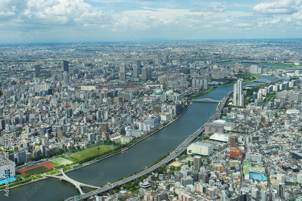 Obraz premium Panoramic Aerial View of Tokyo Skyline, Japan