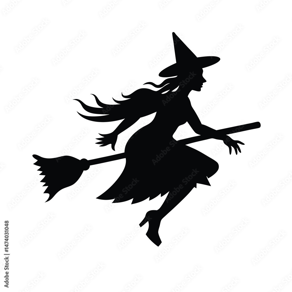 Fototapeta premium witch flying on a broomstick
