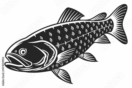 coelacanth sihouette black vector