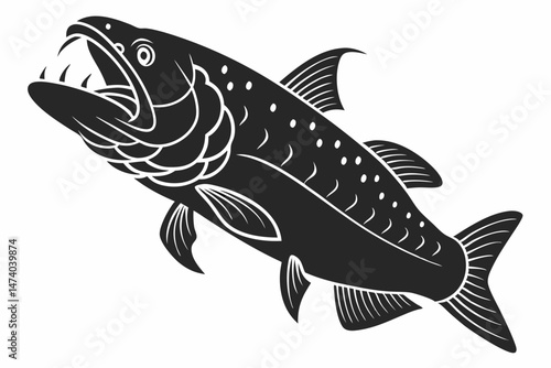 coelacanth sihouette black vector