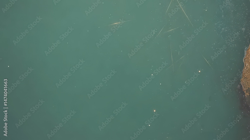 Fototapeta premium Tranquil Water Surface with Natural Reflections and Underwater Vegetation in Clear Aquatic Environment