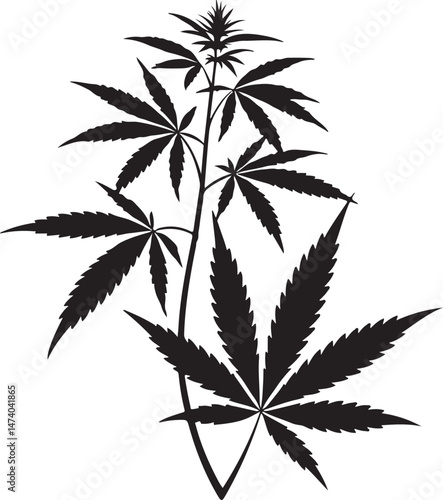 Lush Cannabis Plant Silhouette with Detailed Leaves for Botanical Decor
