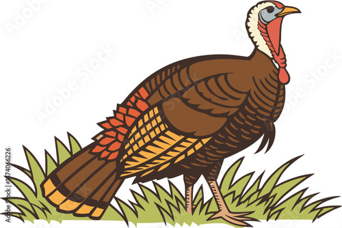 126 brown turkey, colorful feathers, proud posture, close-up portrait, detailed plumage, farm animal, thanksgiving bird, photorealistic, high resolution