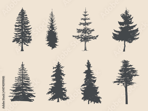 pine trees silhouette vector art, illustration
