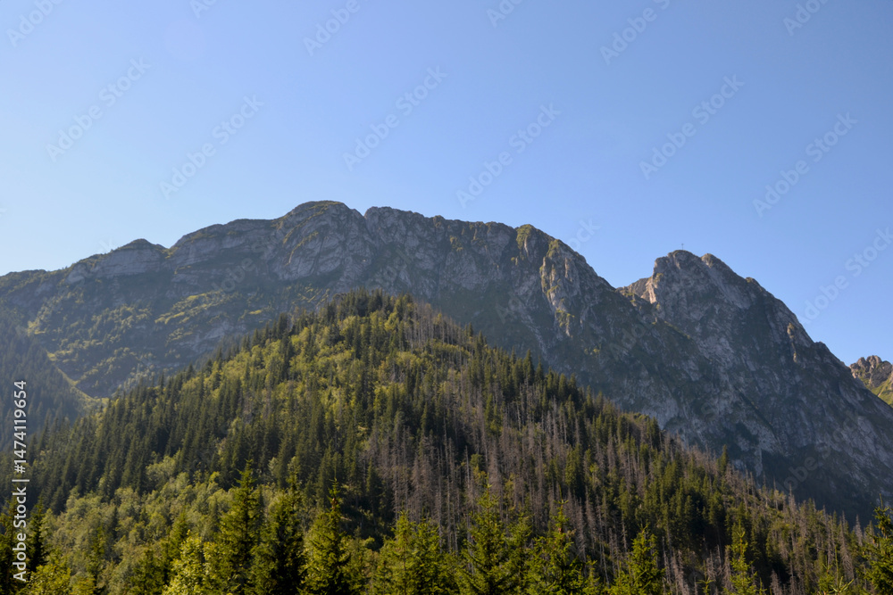 Obraz premium Beautiful view from the Sarnia Skala (eng: Deer Peak) peak with a height of 1,378 m. Tatra National Park. Zakopane, Poland. View of Giewont