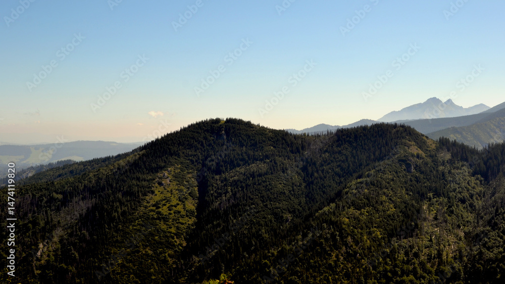 Fototapeta premium Beautiful views from the Sarnia Skala (eng: Deer Peak) peak, Tatra National Park, a height of 1,378 m. Zakopane, Poland