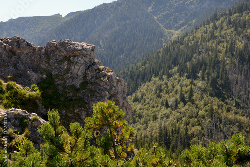 Beautiful views from the Sarnia Skala (eng: Deer Peak) peak, Tatra National Park, a height of 1,378 m. Zakopane, Poland