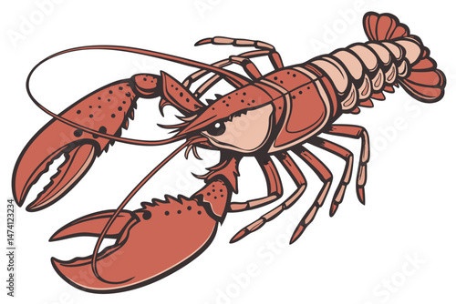 137 cooked lobster, detailed lobster close up, realistic lobster, high resolution, photorealistic, studio lighting, white background