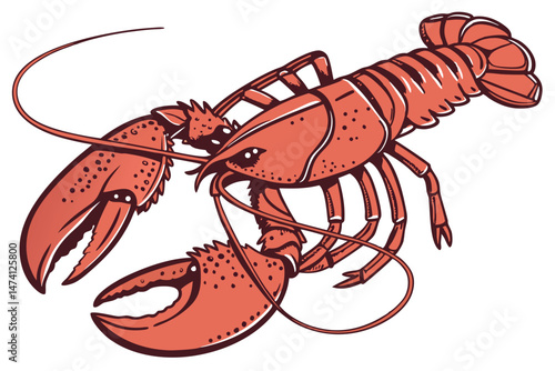 137 cooked lobster, detailed lobster close up, realistic lobster, high resolution, photorealistic, studio lighting, white background