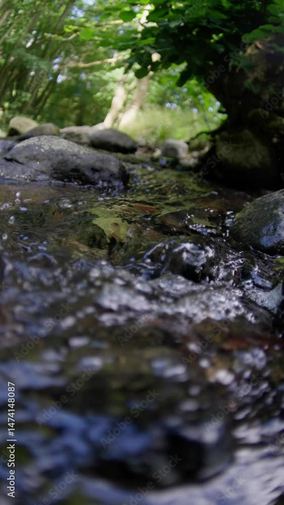 A stream flows gracefully through a vibrant forest, creating a serene and tranquil scene. Slow motion A stream flows gracefully through a vibrant forest, creating a serene and tranquil scene. Slow motion