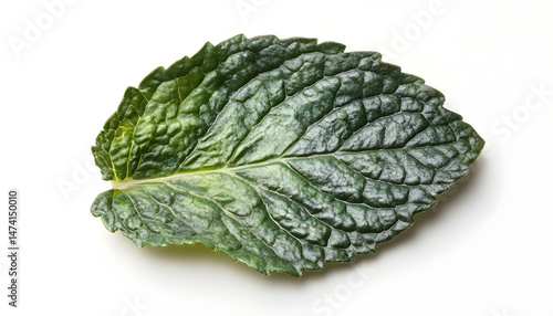 Obraz na płótnie Fresh green mint leaf isolated on white w salonie