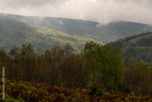 Fototapeta Naklejka Na Ścianę i Meble -  Hala Jaworowa w Beskidzie Śląskim niedaleko Szczyrk Salmopol, wiosenny poranek. 