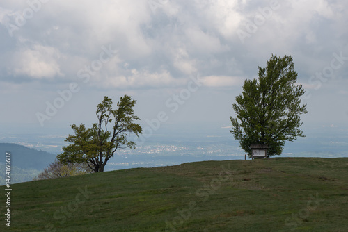 Fototapeta Naklejka Na Ścianę i Meble -  Hala Jaworowa w Beskidzie Śląskim niedaleko Szczyrk Salmopol, wiosenny poranek. 