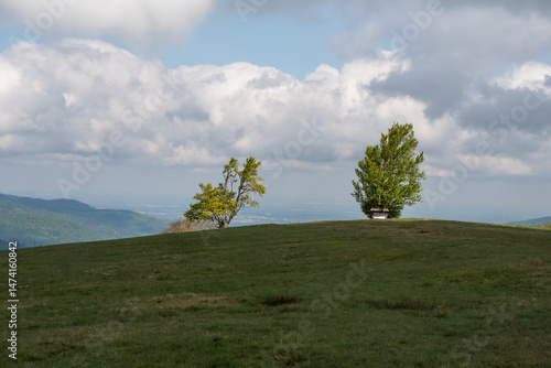 Fototapeta Naklejka Na Ścianę i Meble -  Hala Jaworowa w Beskidzie Śląskim niedaleko Szczyrk Salmopol, wiosenny poranek. 