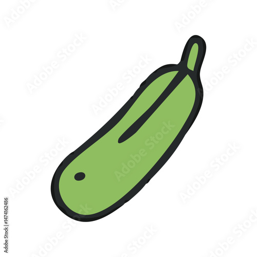 Zucchini Illustration - Fresh Green Summer Squash Vector