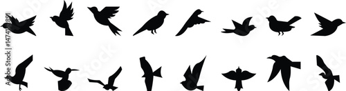 silhouette of flying birds with wide open wings vector art template designs icon set, Ink grunge birds afar brush hand drawn markers and crayons icons isolated on transparent background for mobile app