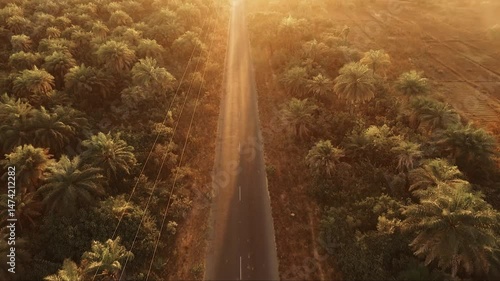 Vue aérienne d’une route traversant la forêt tropicale an Sénégal au coucher du soleil – contraste entre végétation dense et sol sec