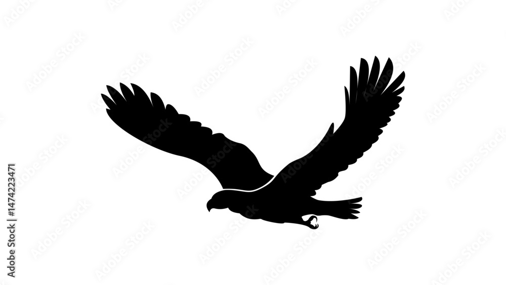 Obraz premium flying eagle symbol, black isolated silhouette