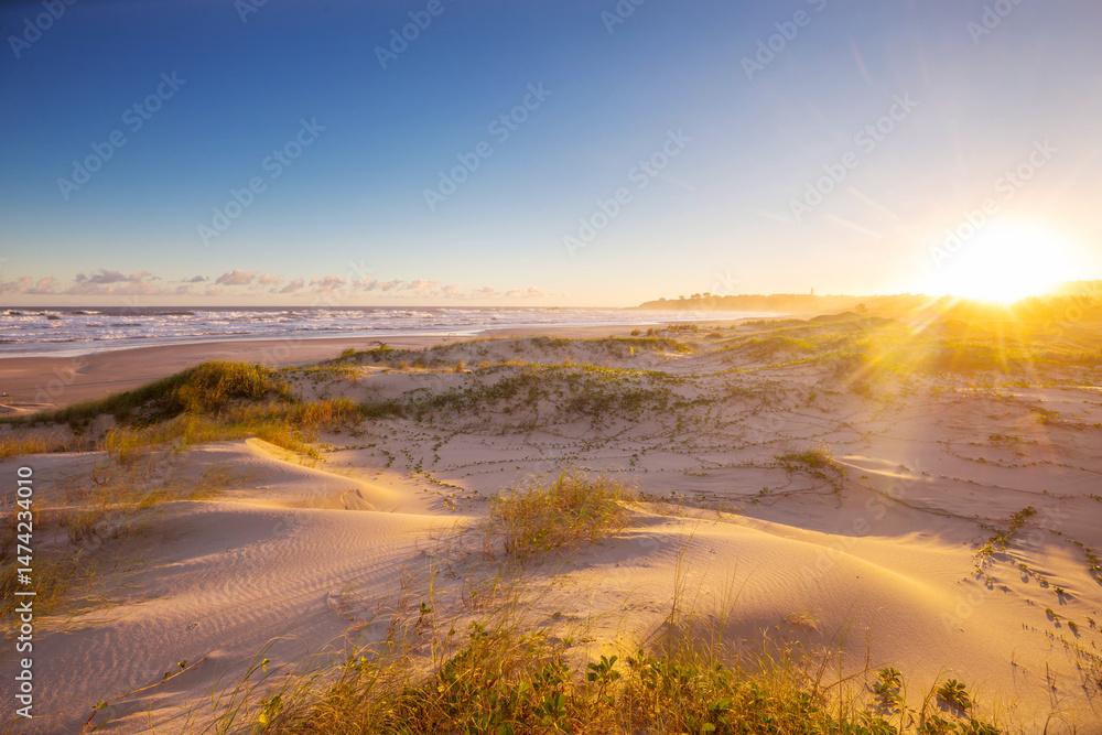 Naklejka premium Sandy beach