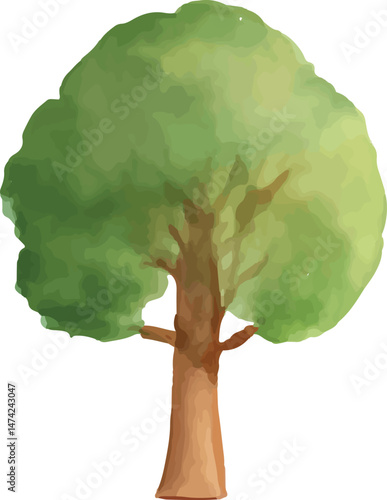 Green broad tree watercolor illustration, perfect for nature landscapes, outdoor art, and seasonal decor on a beige background