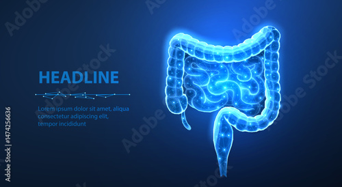 Human intestines. Gut health, bowel disease, gastrointestinal tract.