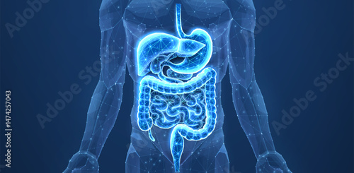 Abstract wireframe intestinal human digestive system. Gut health, bowel disease, gastrointestinal tract.