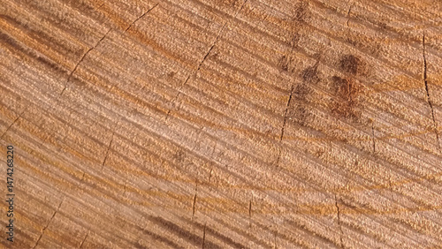 Old wood plank texture background. 