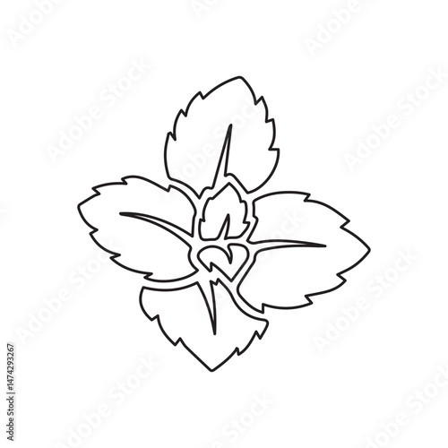 peppermint line icon