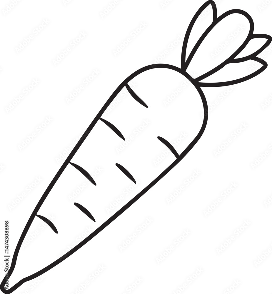 Carrot outline vector illustraion Carrot outline vector illustraion
