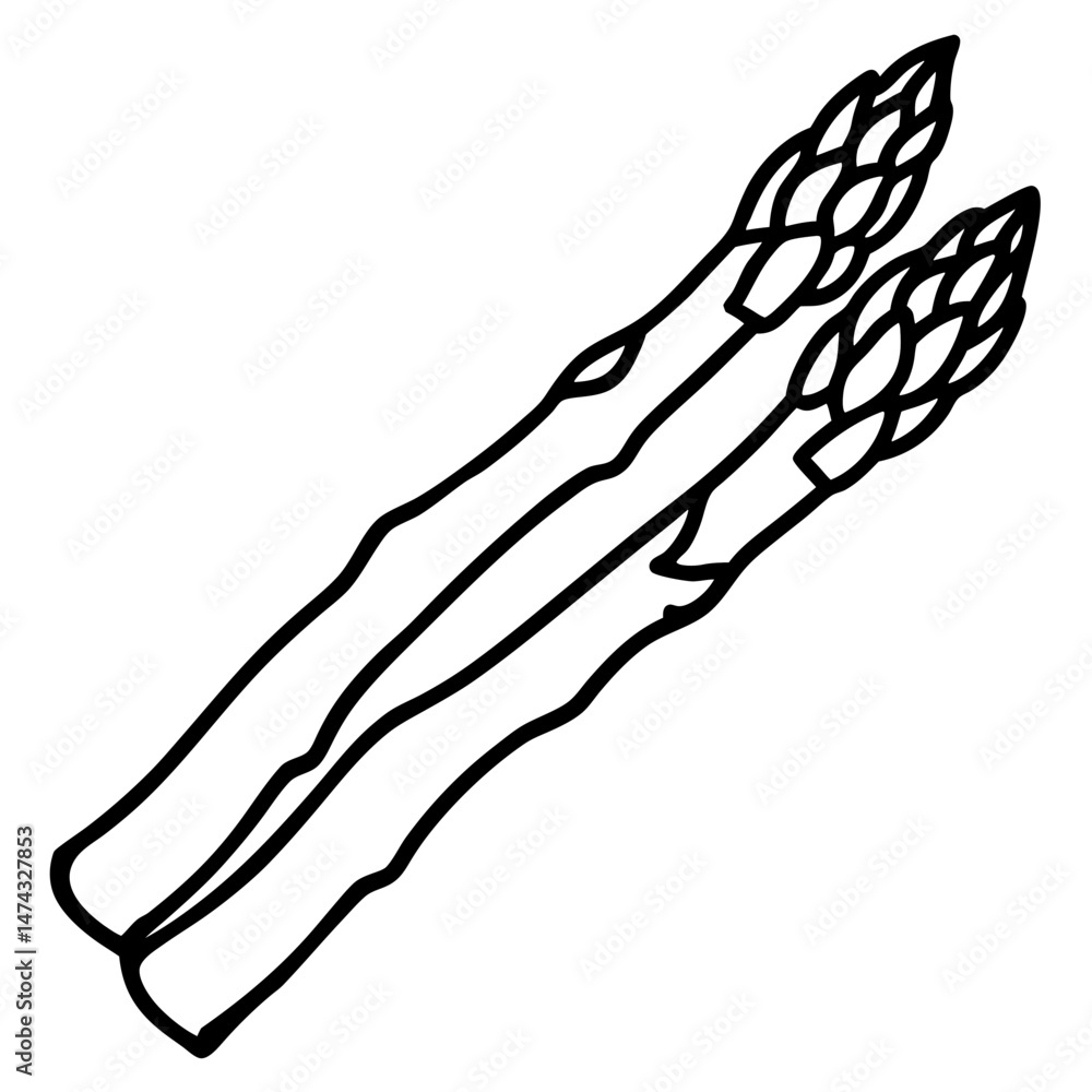 Obraz premium Minimalist Asparagus Vector Illustration