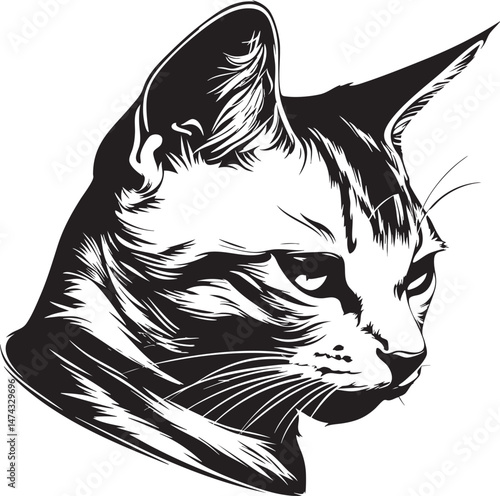 Cat head illustration in stylized black and white with focused gaze