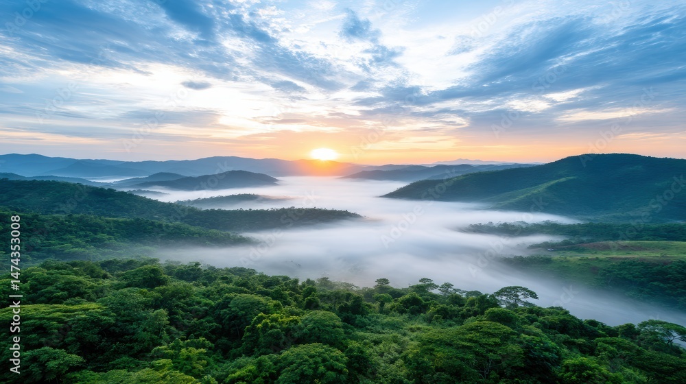 Obraz premium Lush green hills covered in morning mist with a vibrant sunrise breaking over the horizon.