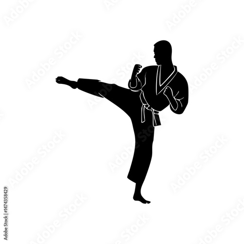 Martial artist executing a high side kick with focused form.


