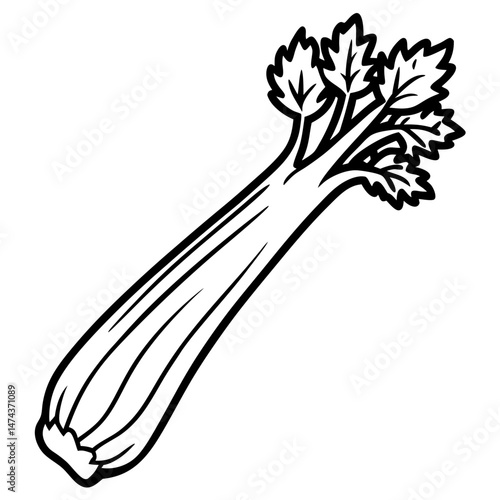 Minimal Celery Vector Illustration
