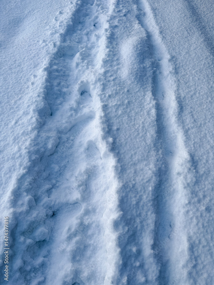 Obraz premium 新雪に残る轍