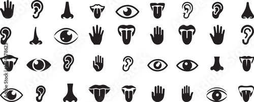 Simple Black and White Icons Representing the Five Senses