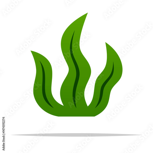 Simple cartoon seaweed vector isolated illustration