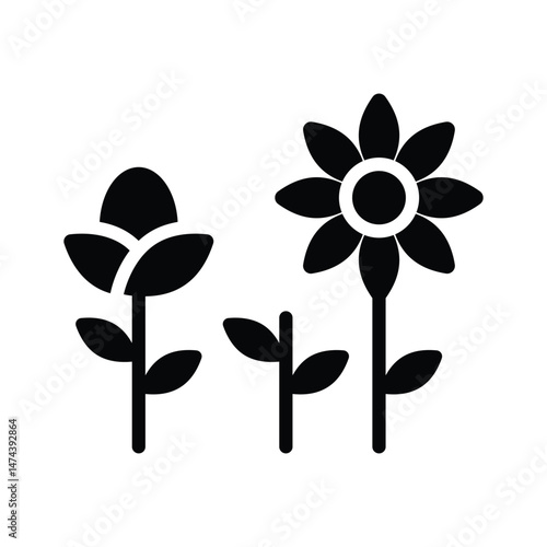 Blooming flowers representing spring weather and growth.